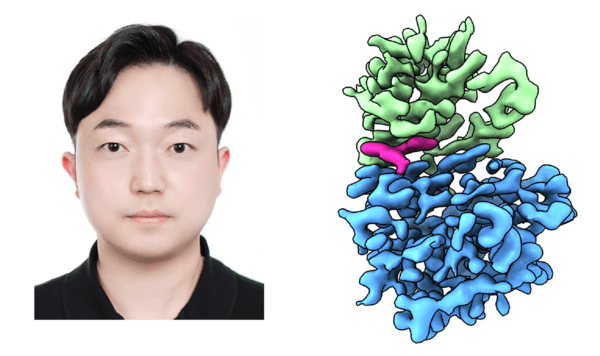 영남대 김동영 교수팀, 초저온전자현미경으로 초소형 단백질 구조 세계... - 뉴스 썸네일 이미지
