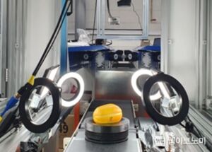 농촌진흥청, &apos;참외 품질&apos; 3차원 영상으로 판정한다