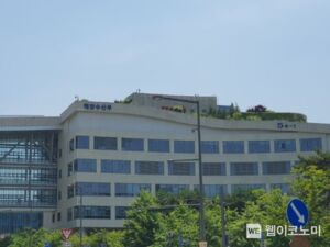 해양수산부, 해양인적사고 예방을 위해 국내외 해운선사와 안전전문가 한자리에 모여