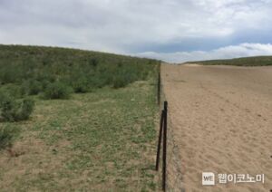산림청 국립산림과학원, 위성영상·식생조사 기반 사막화 및 황사 저감 효과 국제공동연구로 입증