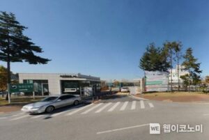 농촌진흥청, 버섯 활용한 고기 대체식품 실용화 시동