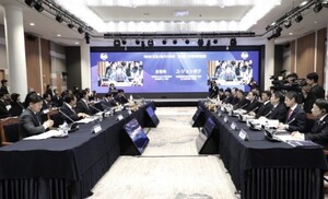 행정수도 세종, 대한민국 소멸 막는 해법으로 제시