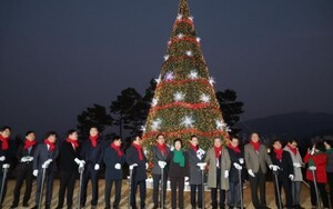 대전 동구, 청사 잔디광장서 성탄트리 점등식 개최